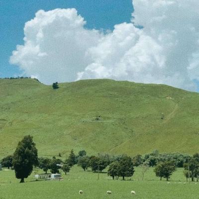 万博体育官方app