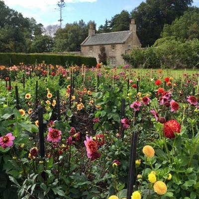 星空下载站安装截图