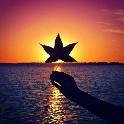 澳门威尼斯人软件