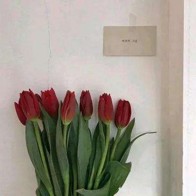 博鱼app体育官方正版下载