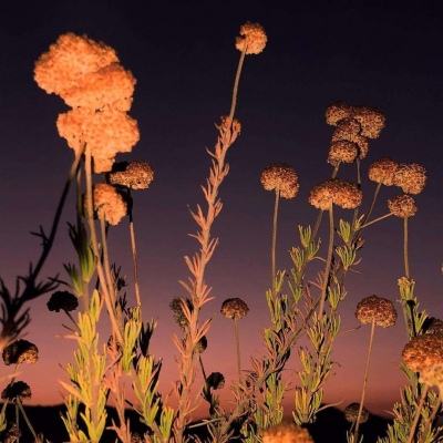 888电玩城游戏厅